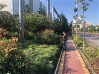 ӄӑB(ti)ȫTc푾Gֲl(wi)(zhn)