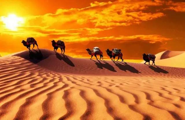 屬于我們的“絲綢之路” 屬于我們的“絲綢之路”