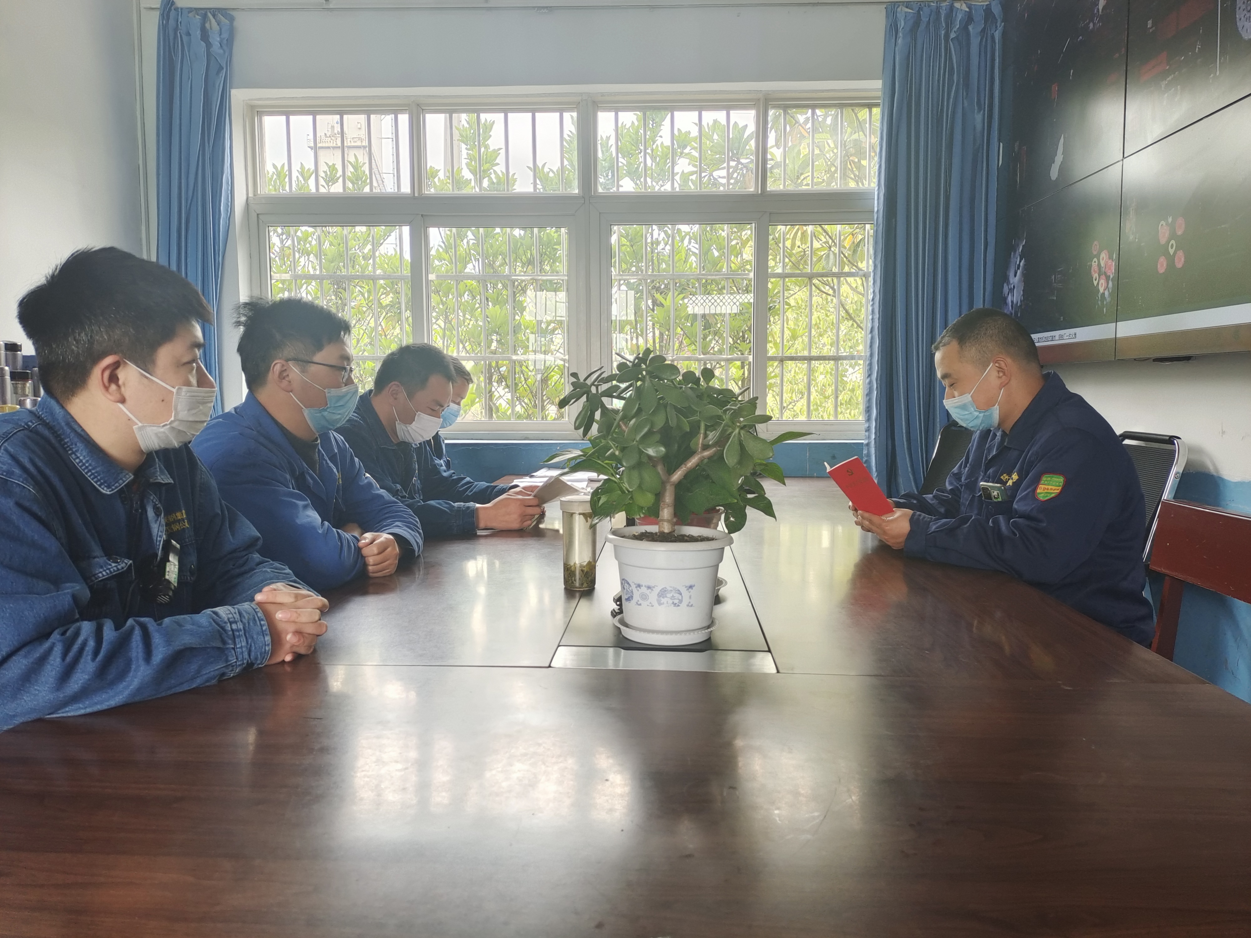 “廉花”盛開“清風”自來 “廉花”盛開“清風”自來