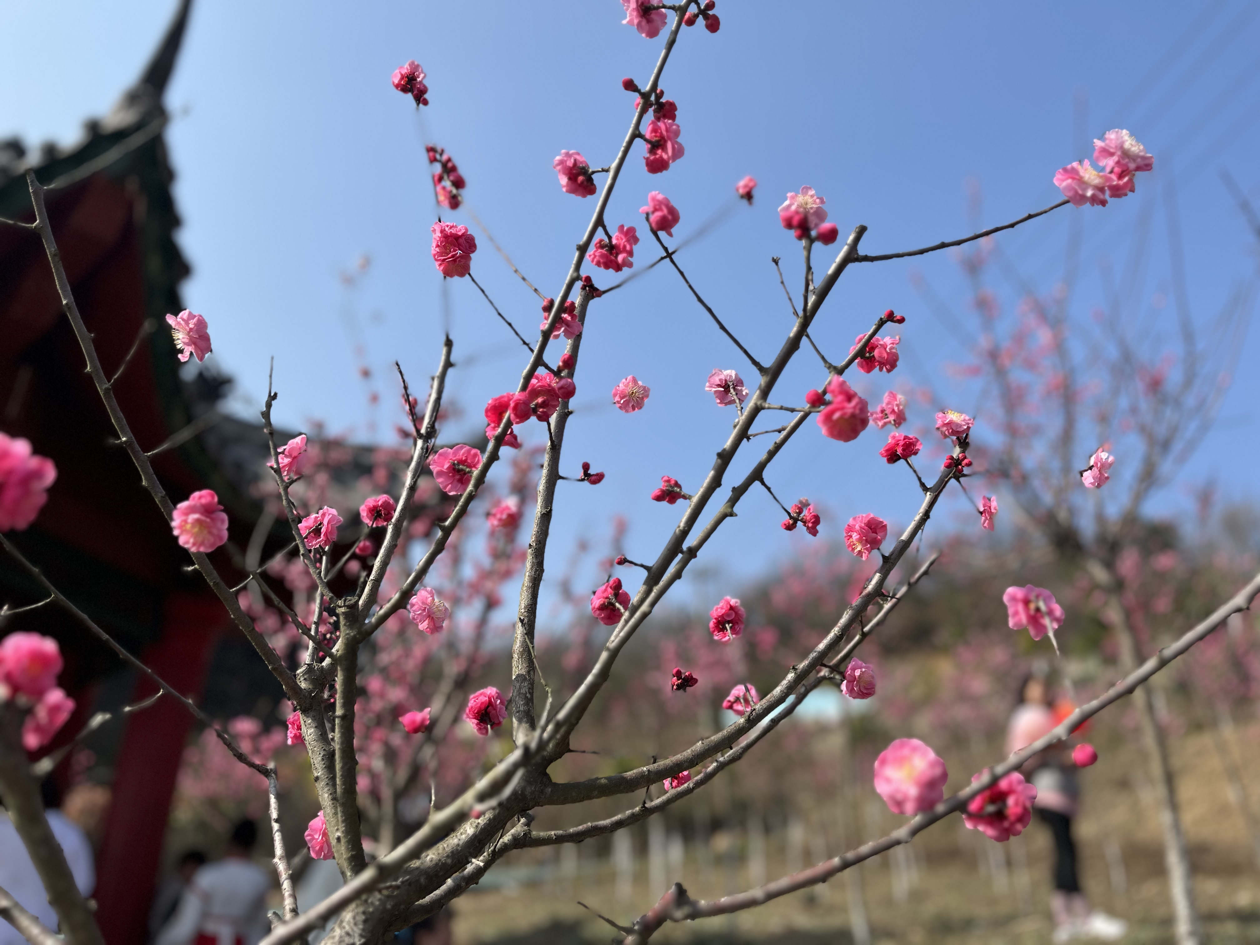花開(kāi)錦繡春草綠 巾幗牽手伴“童”行 —設(shè)備管理中心2023年“慶三八”戶外踏青活動(dòng) 花開(kāi)錦繡春草綠 巾幗牽手伴“童”行 —設(shè)備管理中心2023年“慶三八”戶外踏青活動(dòng)