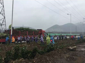 【美麗漢鋼】披綠行動在三月 【美麗漢鋼】披綠行動在三月