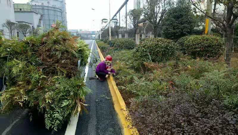 【美麗漢鋼】春暖花開季 護綠增綠正當時 ——漢鋼公司打響春季綠化美化攻堅戰(zhàn) 【美麗漢鋼】春暖花開季 護綠增綠正當時 ——漢鋼公司打響春季綠化美化攻堅戰(zhàn)