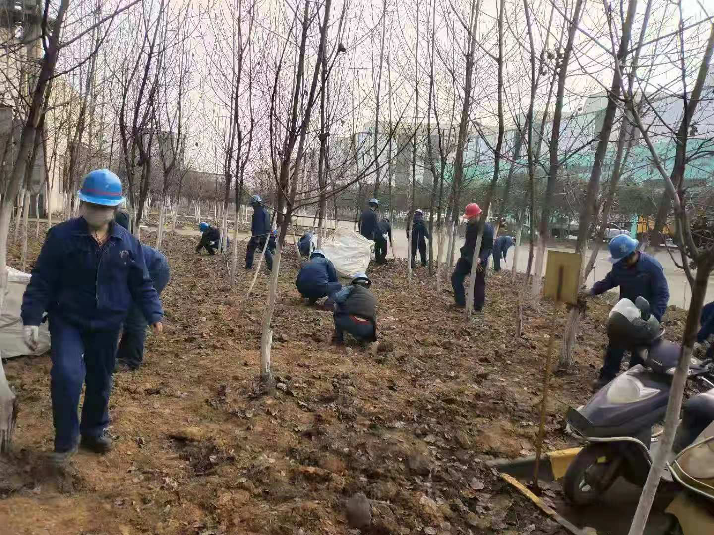 h䓡׌TھGɫͷࡪ䓼Fh䓹˾M۾GoG