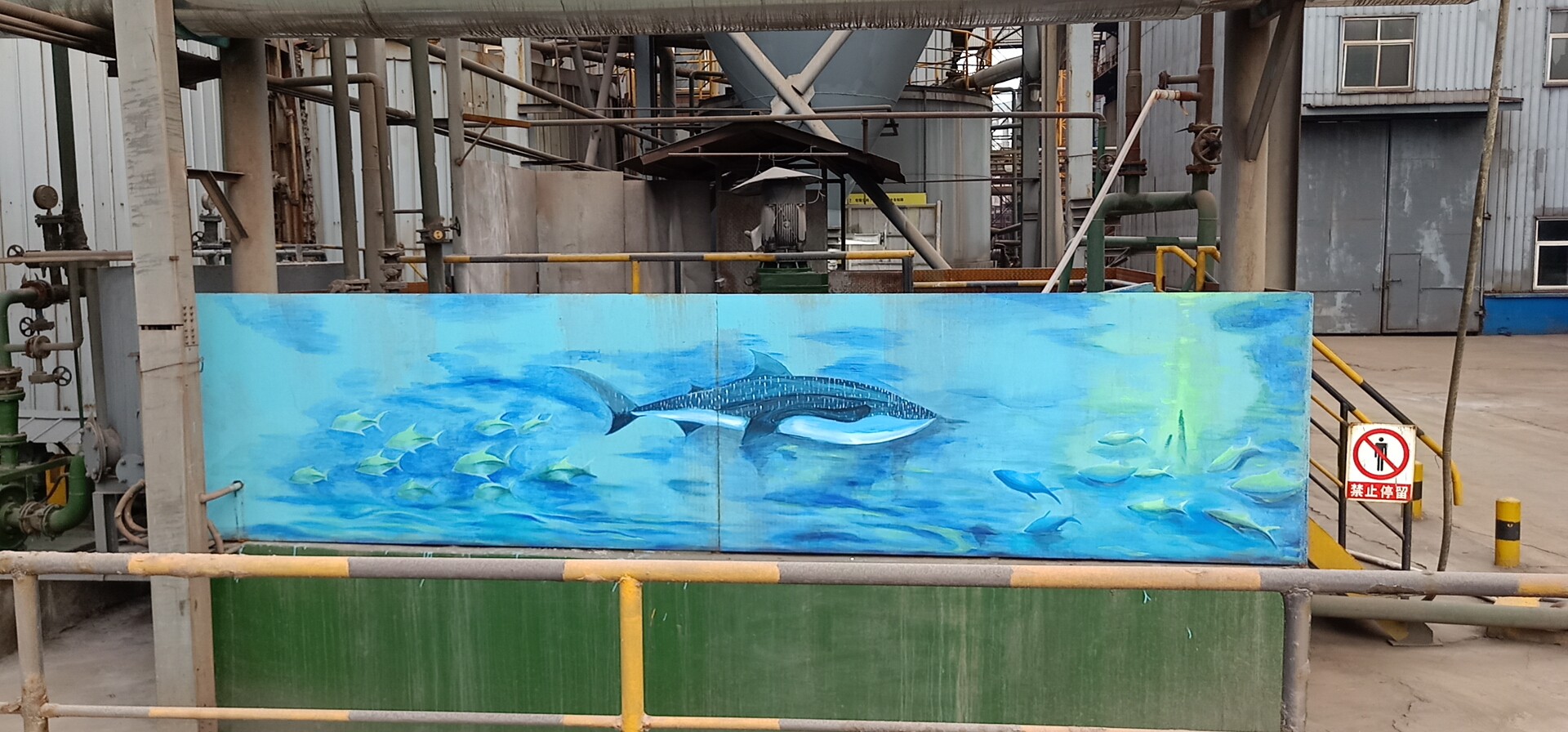 【美麗漢鋼】打造“美麗漢鋼”燒結在行動 【美麗漢鋼】打造“美麗漢鋼”燒結在行動