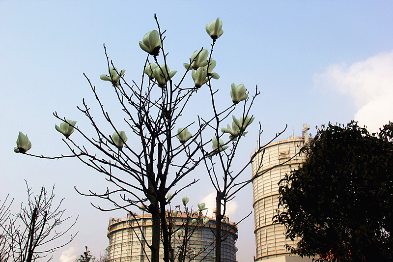 h䓡һ𵽝h̤^