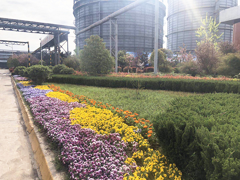 【美麗漢鋼】美翻了,一起到漢鋼踏春觀花吧! 【美麗漢鋼】美翻了,一起到漢鋼踏春觀花吧!