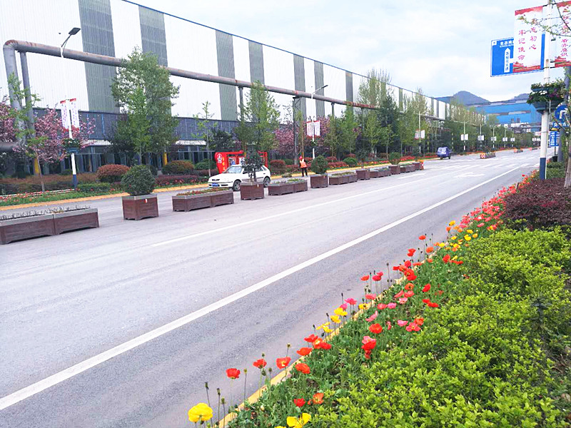 【美麗漢鋼】美翻了,一起到漢鋼來(lái)賞花! 【美麗漢鋼】美翻了,一起到漢鋼來(lái)賞花!