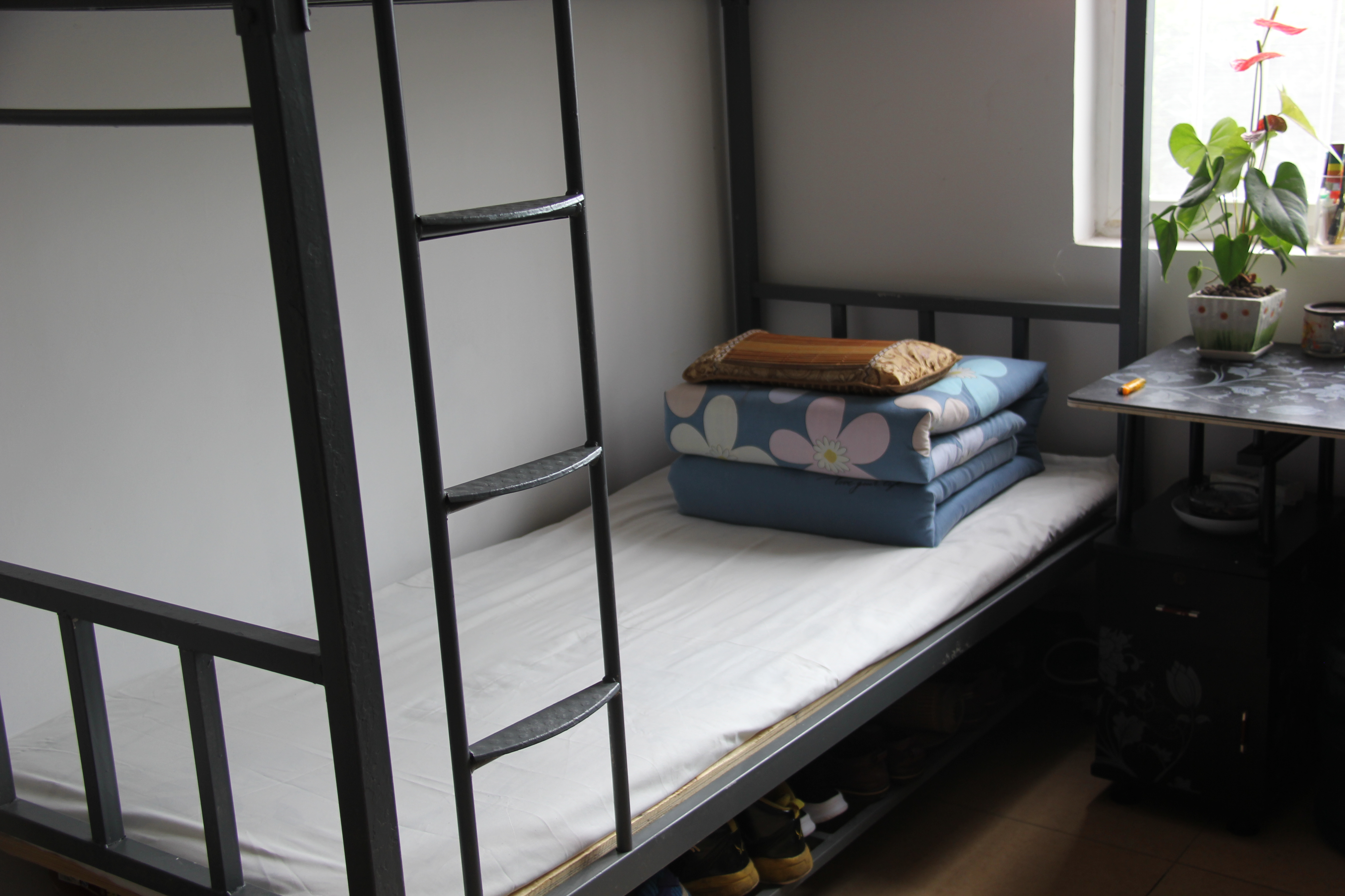 ӄ(dng)B(ti)κڲ2019ϰꡰӰᡱuȻ(dng)AMY(ji)