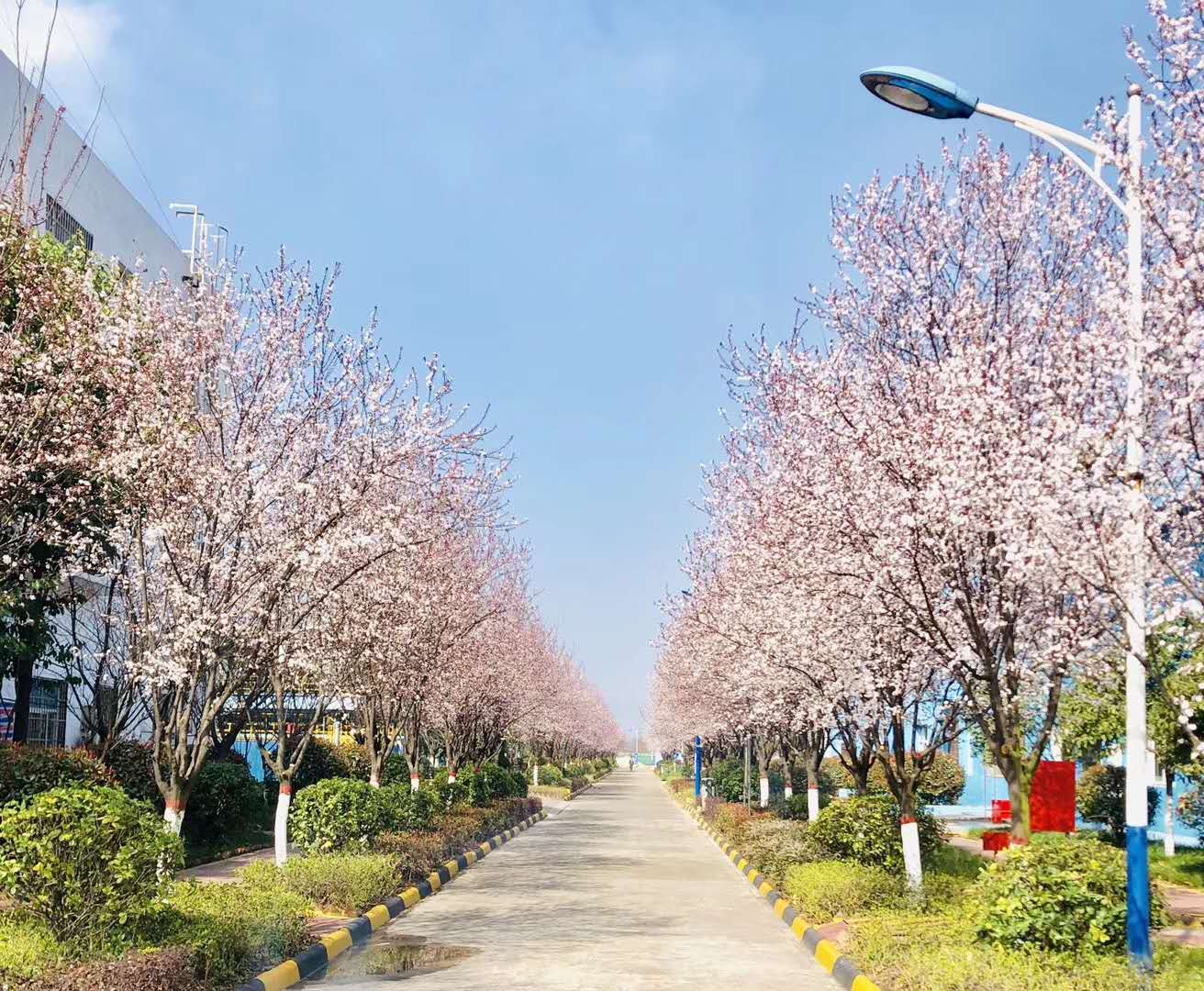 【鋼城文苑】你見(jiàn)過(guò)這么美的鋼廠嗎? 【鋼城文苑】你見(jiàn)過(guò)這么美的鋼廠嗎?