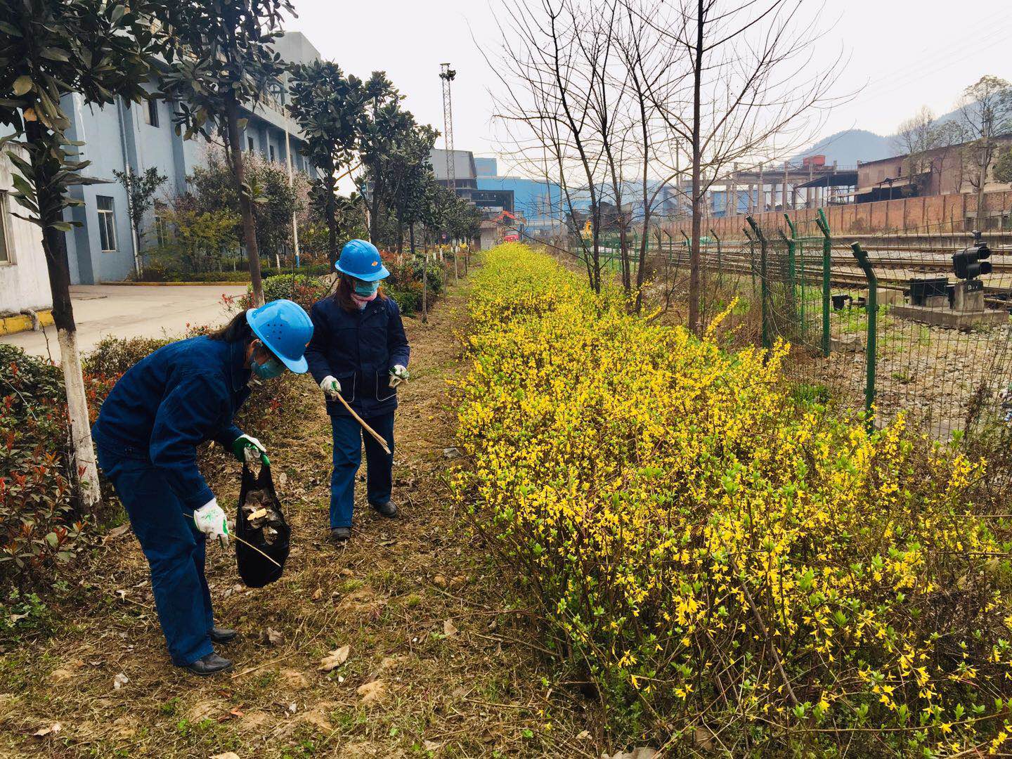 【美麗漢鋼】春花春草春意濃 鋼城三月春如畫 【美麗漢鋼】春花春草春意濃 鋼城三月春如畫