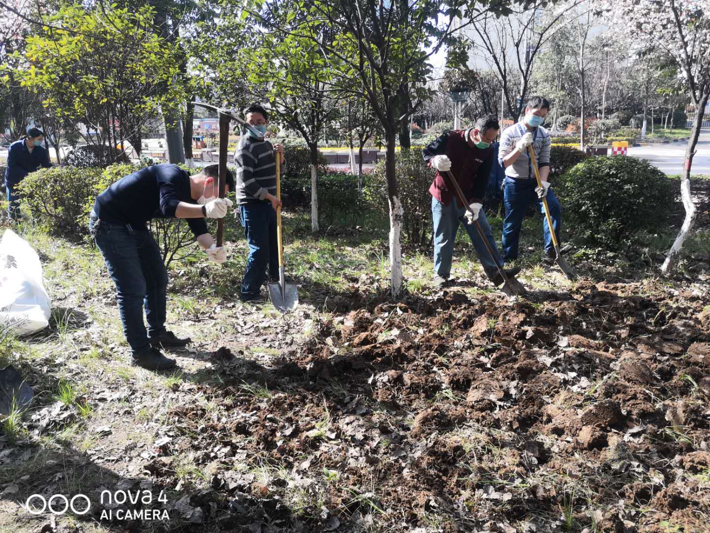 【美麗漢鋼】公司春季綠化美化工作開(kāi)展如火如荼 【美麗漢鋼】公司春季綠化美化工作開(kāi)展如火如荼