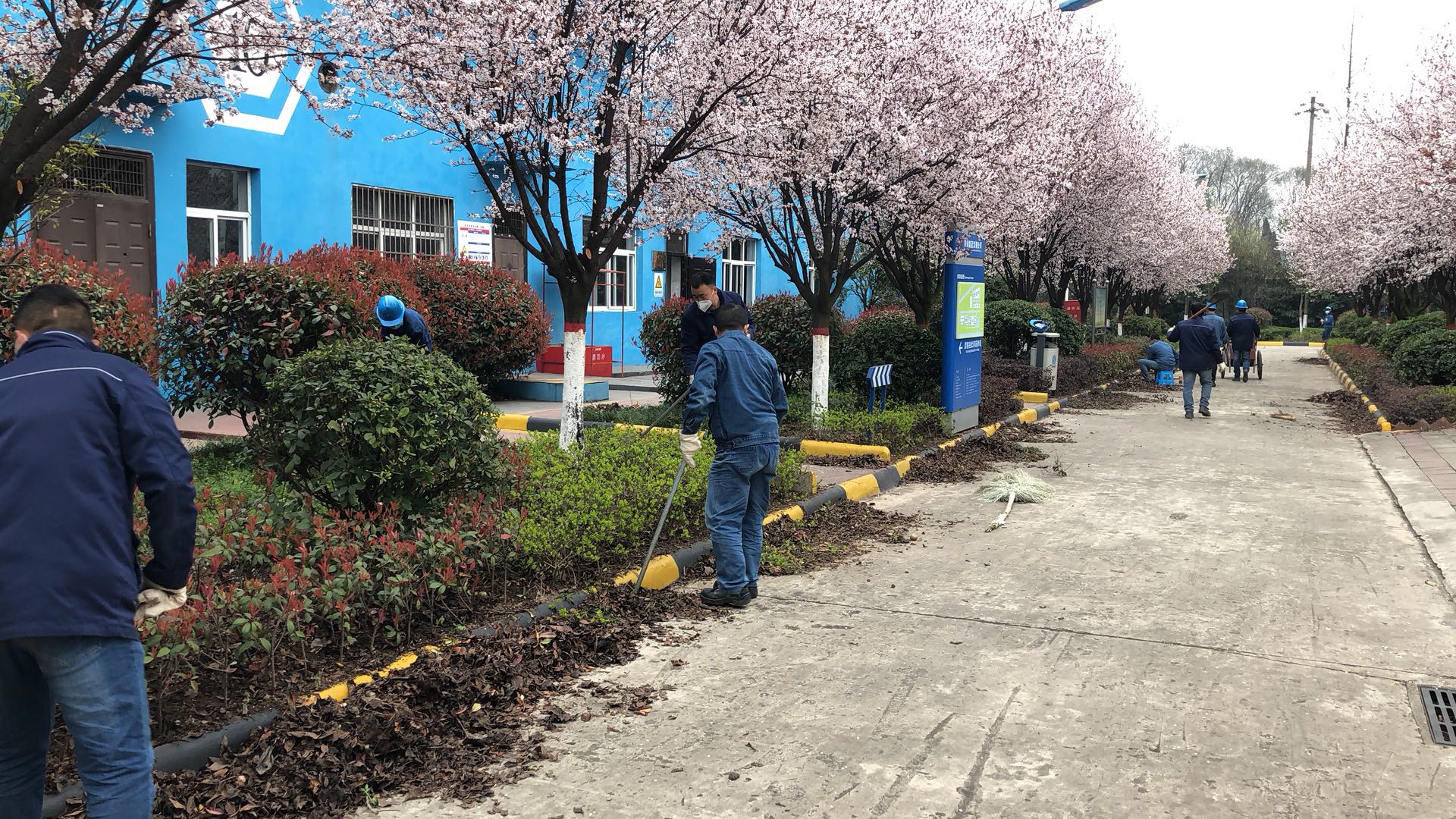 【美麗漢鋼】公司春季綠化美化工作開(kāi)展如火如荼 【美麗漢鋼】公司春季綠化美化工作開(kāi)展如火如荼