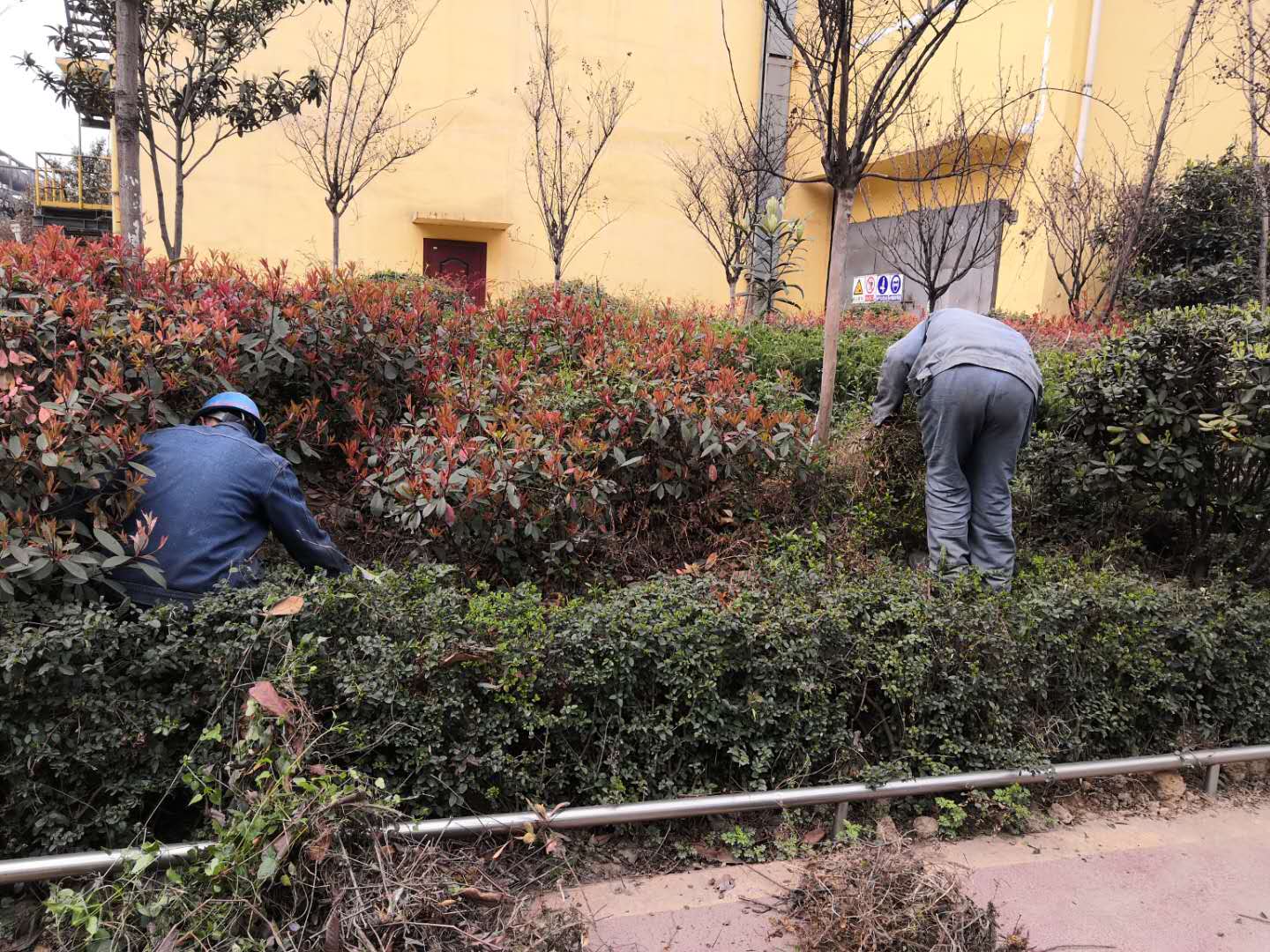 【美麗漢鋼】公司春季綠化美化工作開(kāi)展如火如荼 【美麗漢鋼】公司春季綠化美化工作開(kāi)展如火如荼