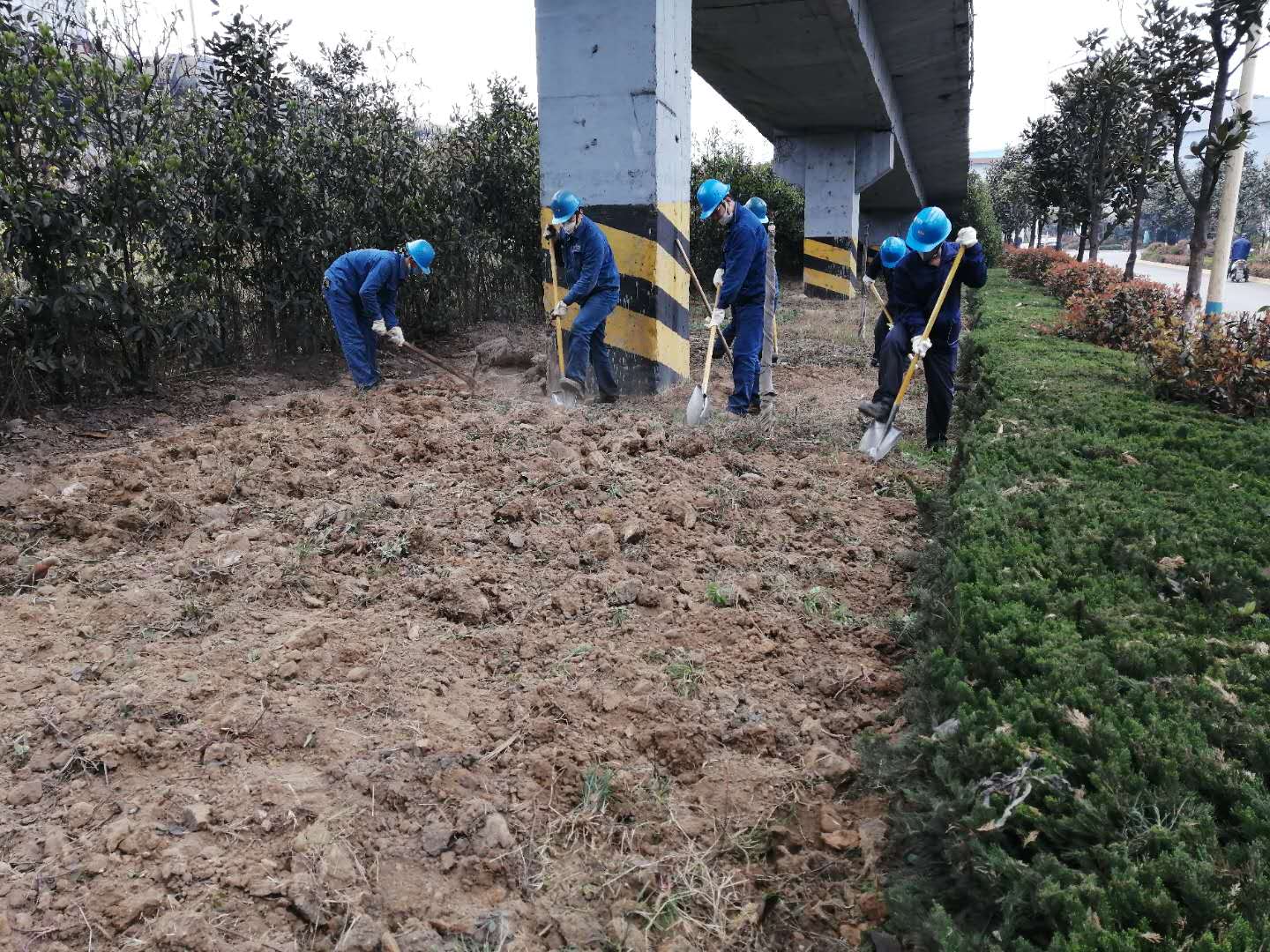 【美麗漢鋼】公司春季綠化美化工作開(kāi)展如火如荼 【美麗漢鋼】公司春季綠化美化工作開(kāi)展如火如荼