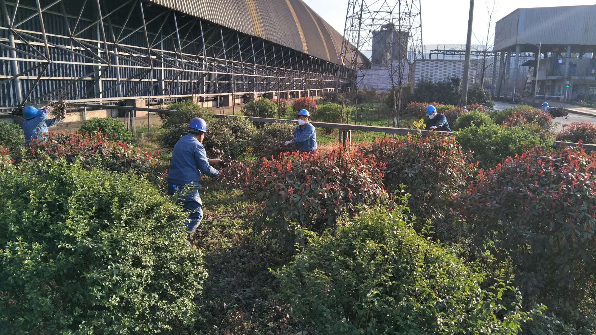 【美麗漢鋼】公司春季綠化美化工作開(kāi)展如火如荼 【美麗漢鋼】公司春季綠化美化工作開(kāi)展如火如荼