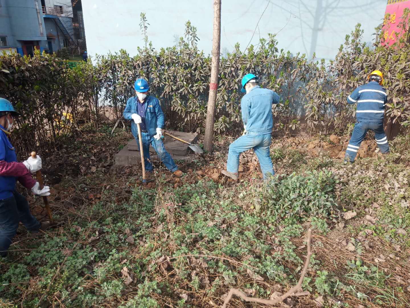 【美麗漢鋼】公司春季綠化美化工作開(kāi)展如火如荼 【美麗漢鋼】公司春季綠化美化工作開(kāi)展如火如荼