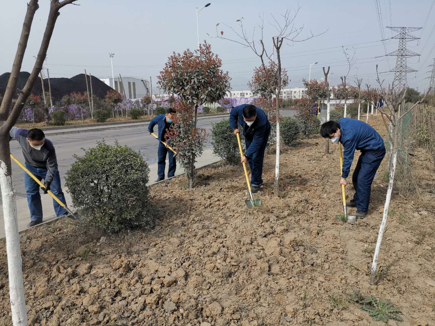 【美麗漢鋼】公司春季綠化美化工作開(kāi)展如火如荼 【美麗漢鋼】公司春季綠化美化工作開(kāi)展如火如荼