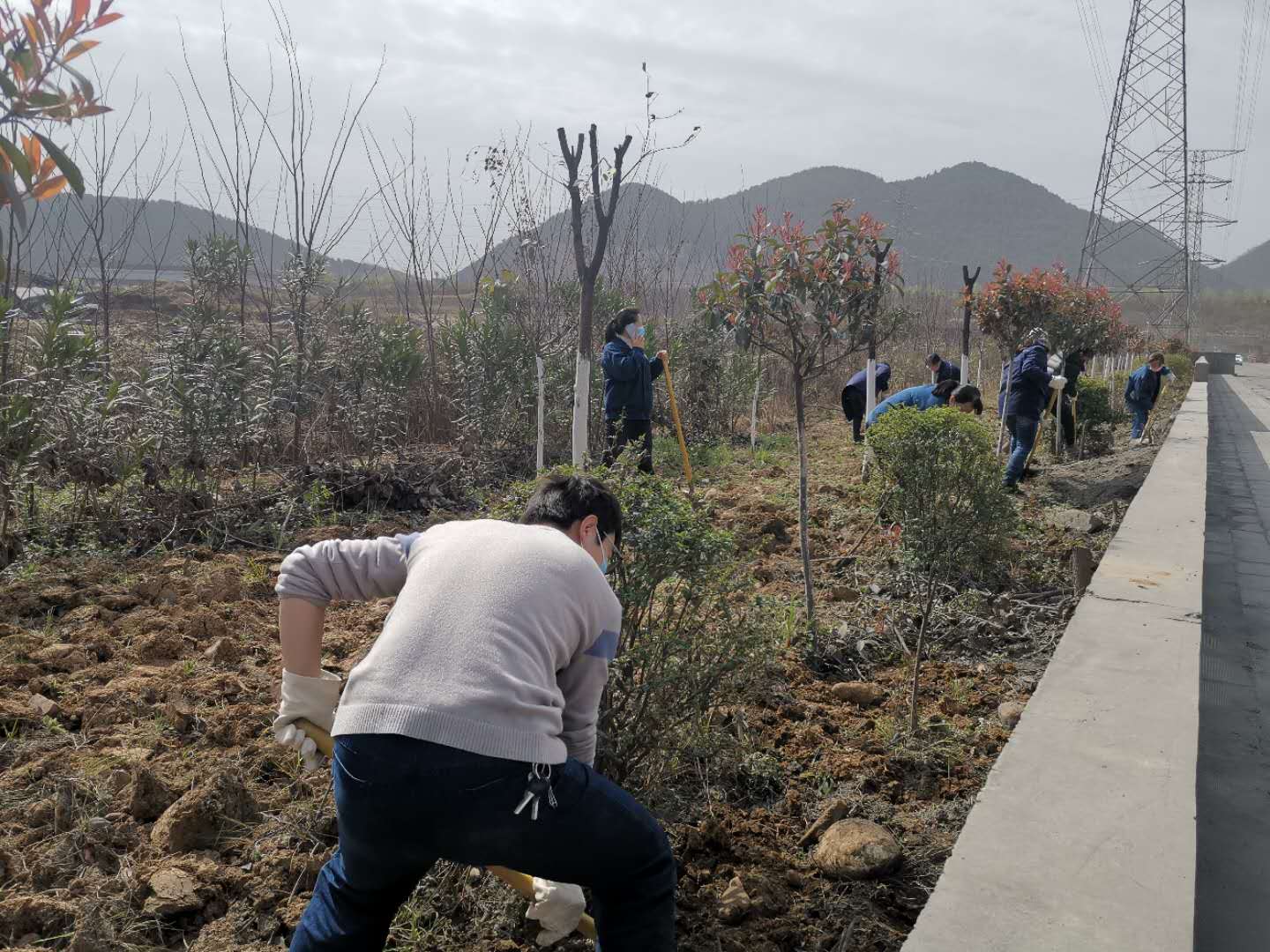 【美麗漢鋼】公司春季綠化美化工作開(kāi)展如火如荼 【美麗漢鋼】公司春季綠化美化工作開(kāi)展如火如荼