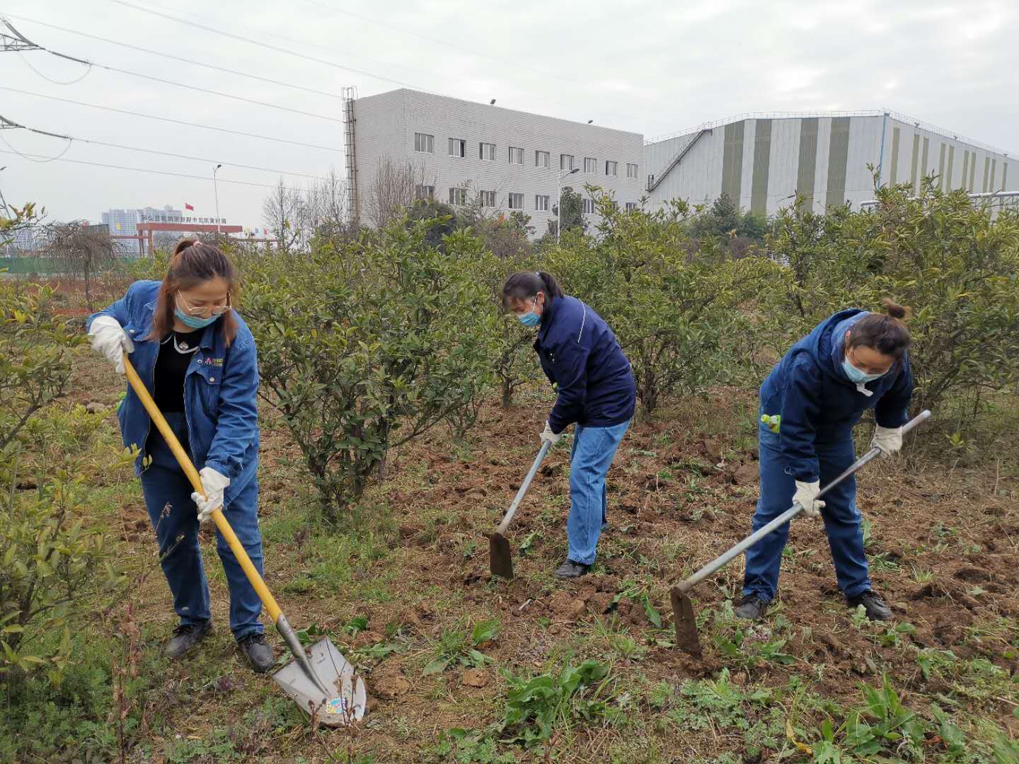 【美麗漢鋼】公司春季綠化美化工作開(kāi)展如火如荼 【美麗漢鋼】公司春季綠化美化工作開(kāi)展如火如荼