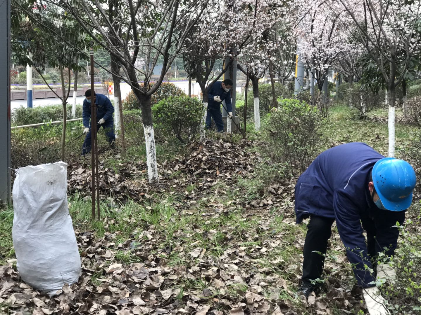 【美麗漢鋼】公司春季綠化美化工作開(kāi)展如火如荼 【美麗漢鋼】公司春季綠化美化工作開(kāi)展如火如荼