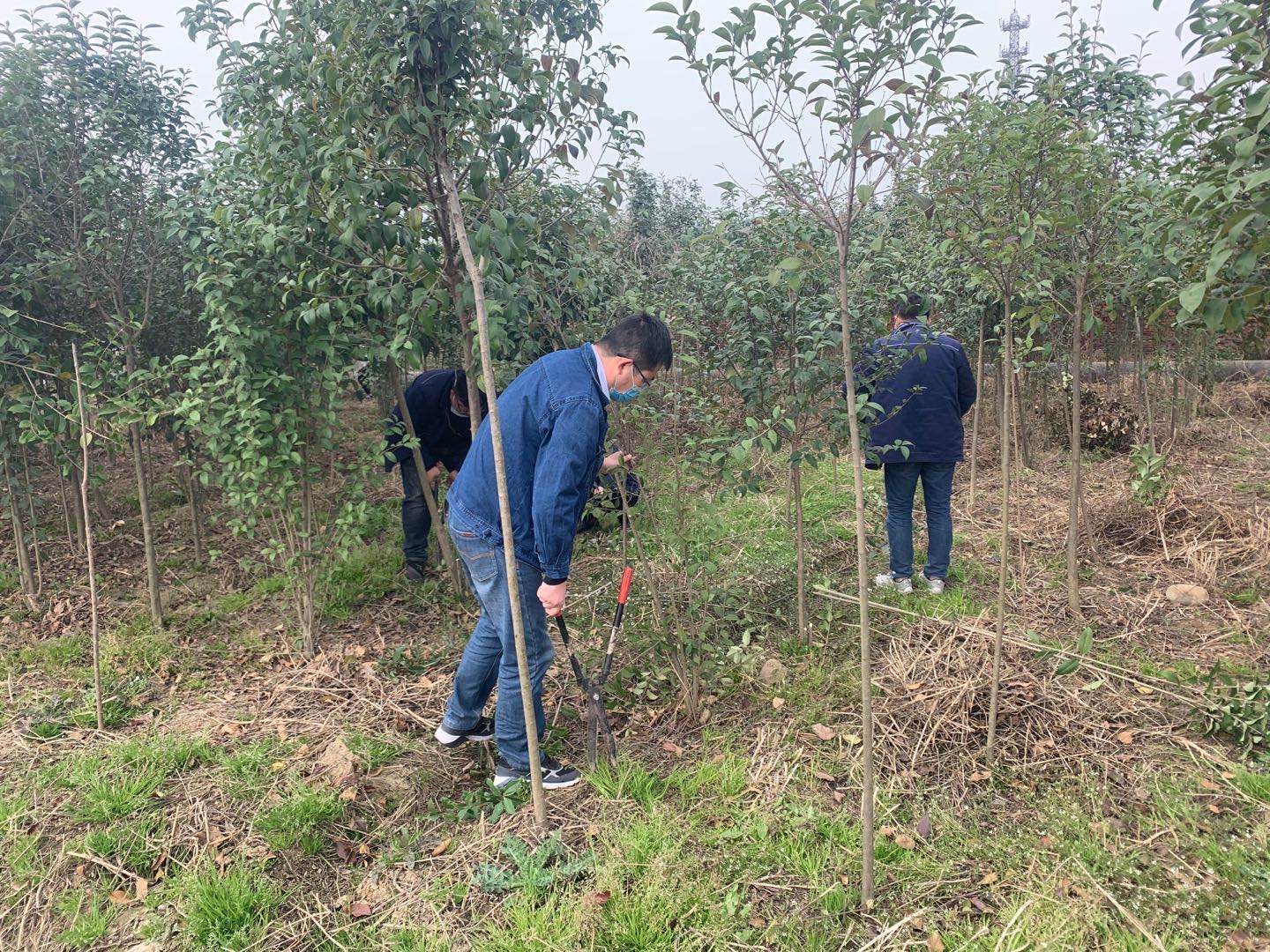 【美麗漢鋼】公司春季綠化美化工作開(kāi)展如火如荼 【美麗漢鋼】公司春季綠化美化工作開(kāi)展如火如荼