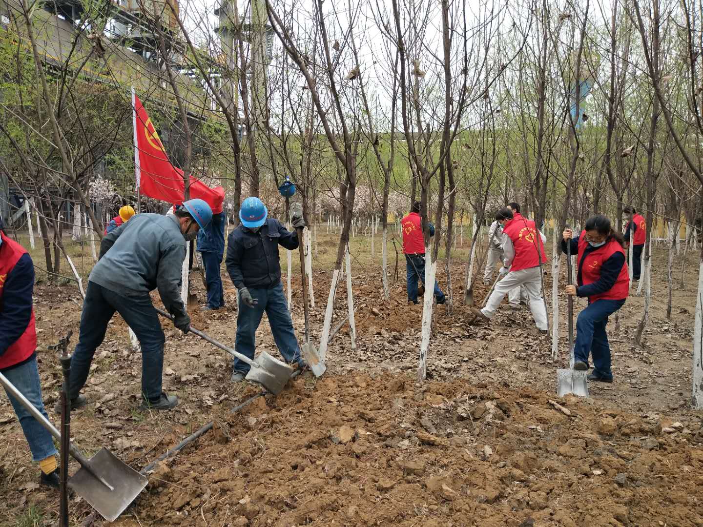 【美麗漢鋼】公司春季綠化美化工作開(kāi)展如火如荼 【美麗漢鋼】公司春季綠化美化工作開(kāi)展如火如荼