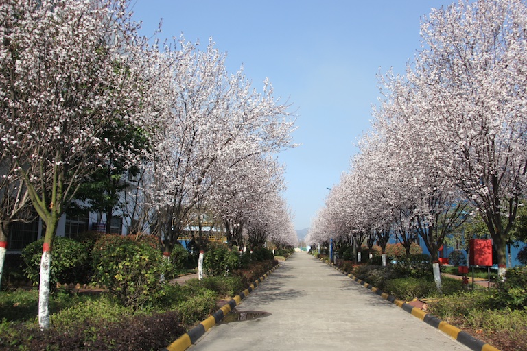 h䓡ù(ji)ܭh(hun)c(din)hˮ֮IF(xin)@