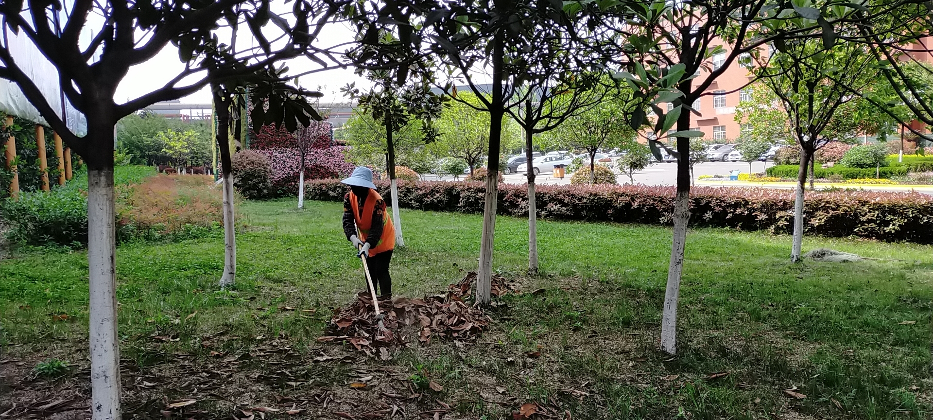 【美麗漢鋼】公司多措并舉 做好春季綠化苗木養(yǎng)護(hù)工作 【美麗漢鋼】公司多措并舉 做好春季綠化苗木養(yǎng)護(hù)工作